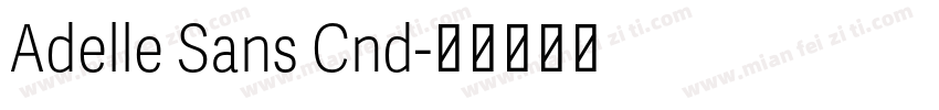 Adelle Sans Cnd字体转换